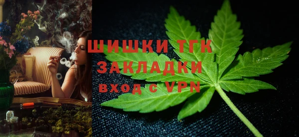 PSILOCYBIN Белокуриха